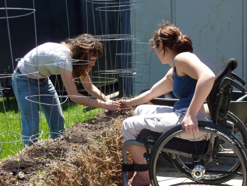 straw bale garden two women, one using a wheelchair, work on a strawbale bed with tomato cages sticking out of the top