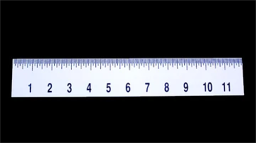 White 12" RULER WITH BRAILLE AND LARGE PRINT