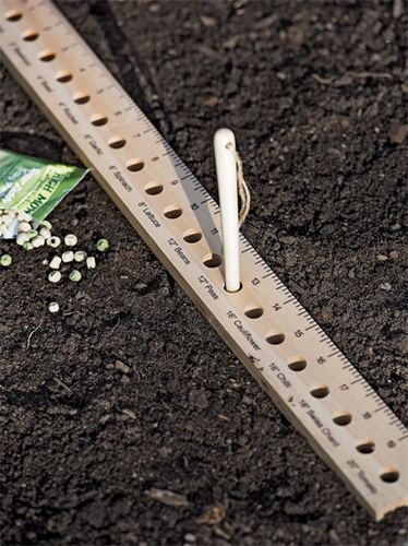 230090.png Brown Seed and Plant Spacing Ruler