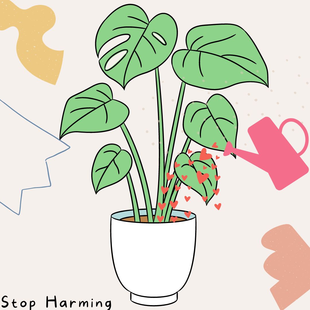 Stop harming Drawing of a plant in a pot. There is a drawing of a watering can pouring hearts on the plant. In the corner, there is the text "stop harming