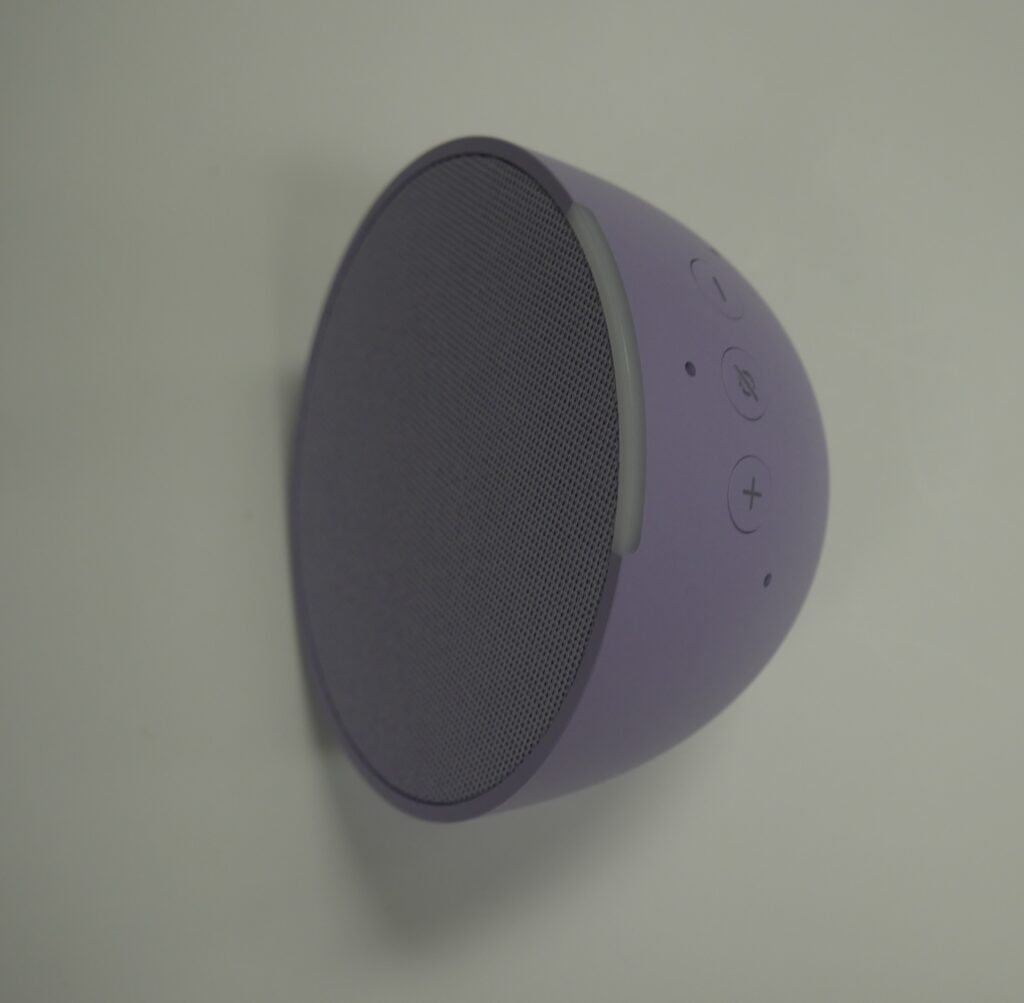 P1010385 Echo Pop - Lavender