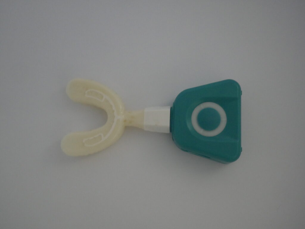 P1010713 White-Blue Y-Brush
